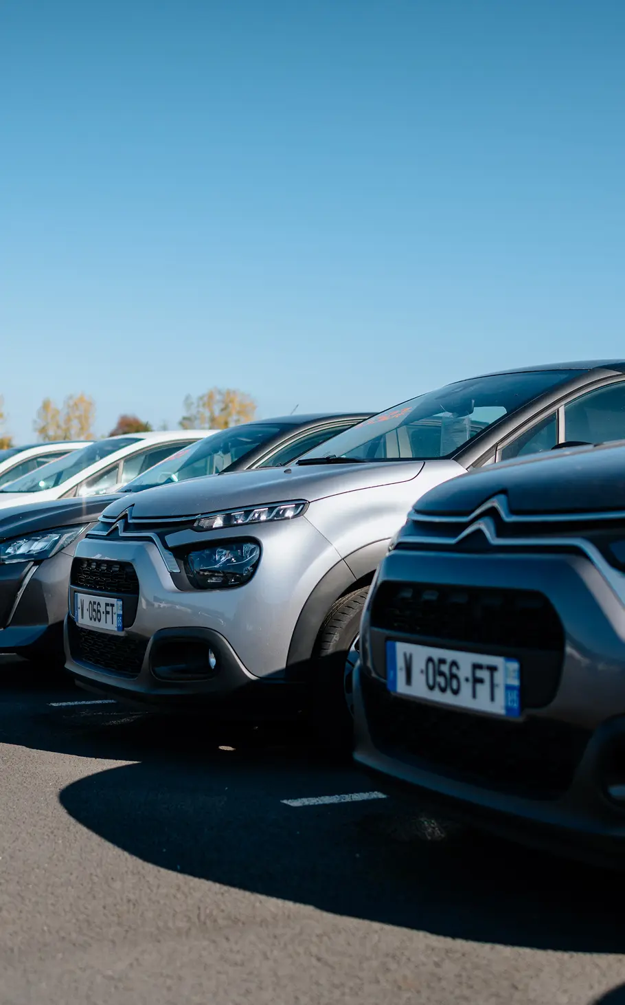 achat véhicule neuf